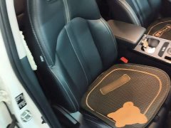 GAC Aion GS4 270T Automatic Smart Navigation Edition - ფოტო 20