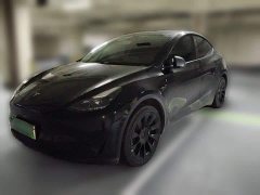 Tesla Model Y 2022 Facelift Rear-Wheel Drive - ფოტო 1