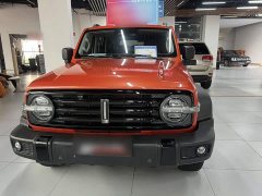 Tank 300 Off-Road Edition 2.0T Conqueror - ფოტო 9