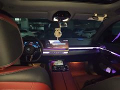 BMW 5 Series 530Li Luxury M Sport Package - ფოტო 9