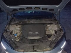 BYD Dolphin 2022 550km Standard Range RWD Luxury - ფოტო 11