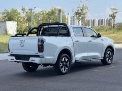 Tank Cannon 2020 2.0T Automatic Diesel 2WD Comfort Edition GW4D20M - ფოტო 14