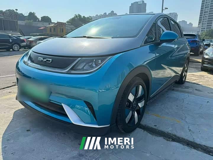 BYD Dolphin 401km Knight Edition