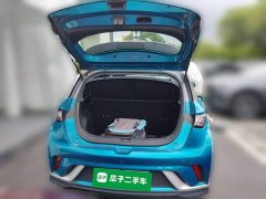 BYD Dolphin 401km Knight Edition - ფოტო 10