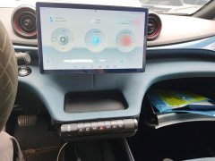 BYD Dolphin 401km Knight Edition - ფოტო 6