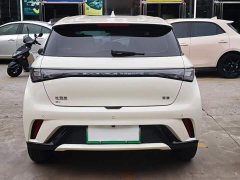 BYD Dolphin 420km Freedom Edition - ფოტო 10