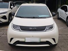 BYD Dolphin 420km Freedom Edition - ფოტო 6