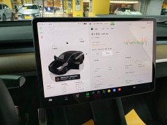 Tesla Model Y Rear-Wheel Drive - ფოტო 16