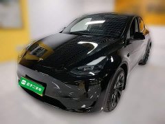 Tesla Model Y Rear-Wheel Drive - ფოტო 3