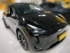 Tesla Model Y Rear-Wheel Drive - ფოტო 6
