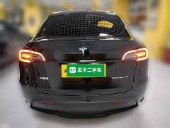 Tesla Model Y Rear-Wheel Drive - ფოტო 8