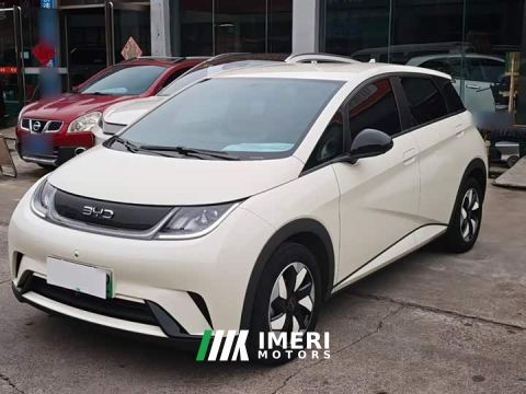 2025 BYD Dolphin Smart Drive 420km Freedom Edition