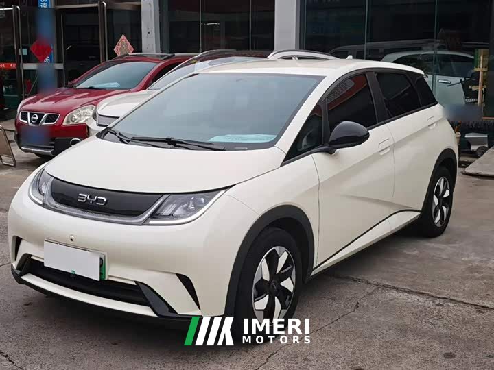 BYD Dolphin Smart Drive 420km Freedom Edition