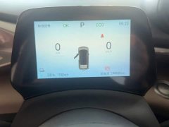 BYD Dolphin Smart Drive 420km Freedom Edition - ფოტო 12