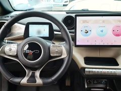 BYD Dolphin Smart Drive 420km Freedom Edition - ფოტო 9
