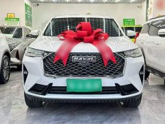 Haval H6 2021 Third Generation 1.5T Automatic Two-Wheel Drive Pro - ფოტო 8