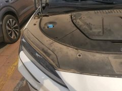 BYD Song Plus New Energy 2023 Champion Edition EV 520KM Flagship - ფოტო 20