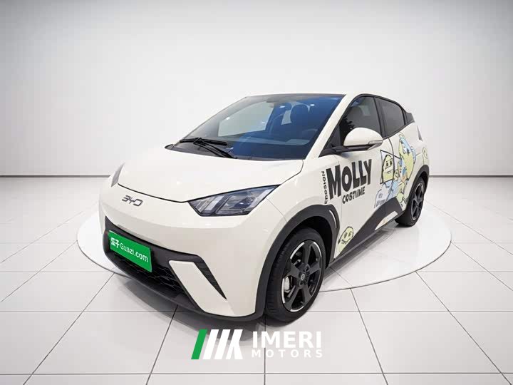 BYD Seagull Glory Edition 405km Flying Edition - ავტომობილი ჩინეთიდან
