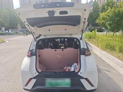 BYD Seagull Glory Edition 405km Flying Edition - ფოტო 10