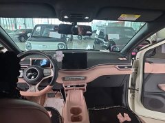 BYD Seagull Glory Edition 405km Flying Edition - ფოტო 14