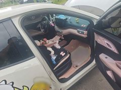 BYD Seagull Glory Edition 405km Flying Edition - ფოტო 18