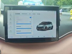 BYD Seagull Glory Edition 405km Flying Edition - ფოტო 19