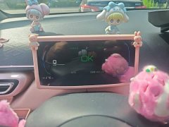 BYD Seagull Glory Edition 405km Flying Edition - ფოტო 4