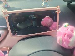 BYD Seagull Glory Edition 405km Flying Edition - ფოტო 5
