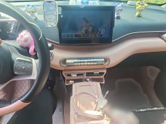 BYD Seagull Glory Edition 405km Flying Edition - ფოტო 6