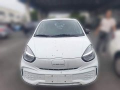 SAIC Corey Wei CLEVER 302km All-Purpose Edition - ფოტო 5