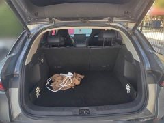 BYD Yuan Plus 510KM Flagship Plus - ფოტო 10