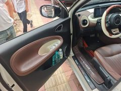 Wuling Binguo 333km Joy Edition - ფოტო 14