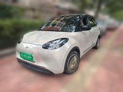 Wuling Binguo 333km Joy Edition - ფოტო 2