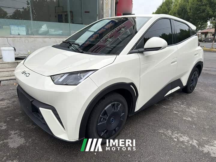 BYD Seagull 305km Vitality Edition