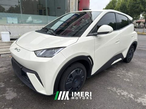 2025 BYD Seagull 305km Vitality Edition - ავტომობილი ჩინეთიდან