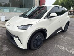 BYD Seagull 305km Vitality Edition - ფოტო 2
