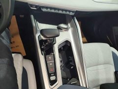 Geely Xingrui 2.0T Diesel Premium - ფოტო 10