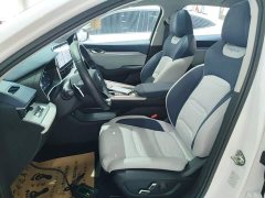 Geely Xingrui 2.0T Diesel Premium - ფოტო 11