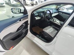 Geely Xingrui 2.0T Diesel Premium - ფოტო 12
