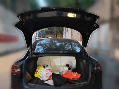 Tesla Model 3 Rear-Wheel Drive - ფოტო 10