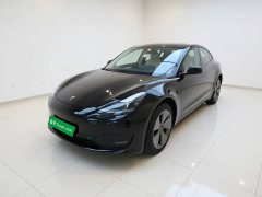 Tesla Model 3 Rear-Wheel Drive - ფოტო 2