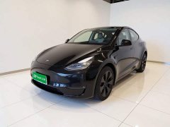 Tesla Model Y 2023 Long Range All-Wheel Drive - ფოტო 1