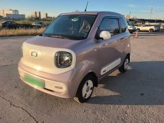 FAW Besturn Xiaoma 2026 222km Cute Horse Plus - ფოტო 1