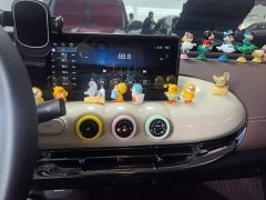 Wuling Binguo 333km Joy Edition - ფოტო 9