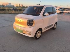 FAW Besturn Xiaoma 2026 222km Cute Horse Plus - ფოტო 1