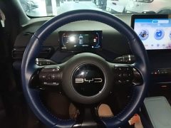 BYD Seagull Flying Edition - ფოტო 11