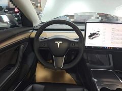 Tesla Model 3 Standard Range RWD Upgrade - ფოტო 15