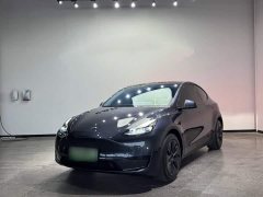 Tesla Model Y Rear-Wheel Drive - ფოტო 3