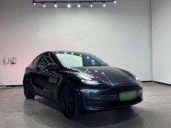 Tesla Model Y Rear-Wheel Drive - ფოტო 6