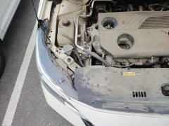 Nissan Sylphy 2020 Facelift 1.6L XL CVT Comfort Edition - ფოტო 19